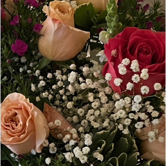 Meet your Posher, Gigi - Picture 2 of 2